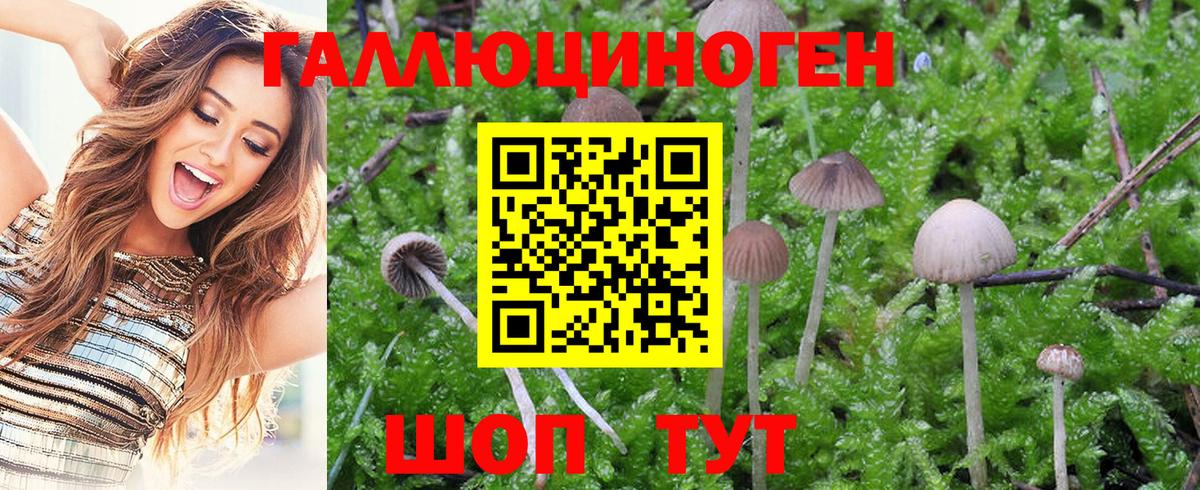Изобильный  Галлюциногенные грибы MAGIC MUSHROOMS  Вход с VPN  Псилоцибиновые грибы прущие грибы 