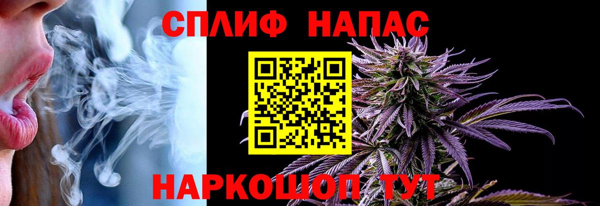 Конопля план Изобильный